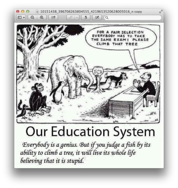 Our Education System